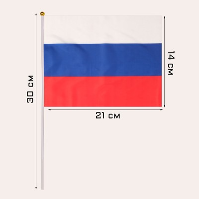 картинка Флаг России, 14 x 21 см, шток 30 см от магазина Богатая